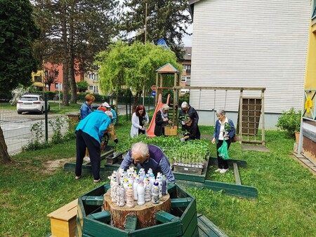 Zelenjavne sadike in projekt »Varno in spodbudno učno okolje« (4)